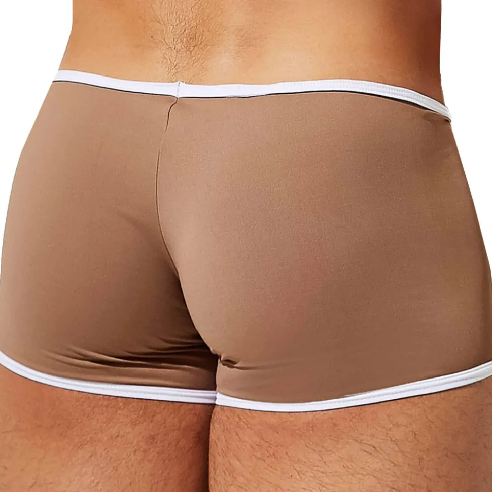 Boxer Court Nice Marron