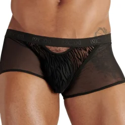 Boxer Court Personal Allure Tigré