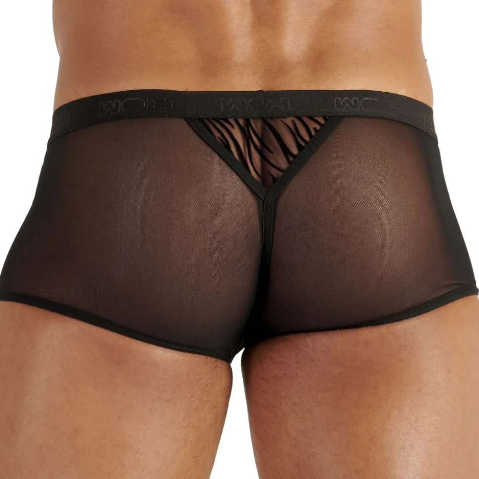 Boxer Court Personal Allure Tigré