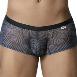 Boxer Egyptien Bleu