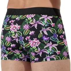 Boxer H01 Funky Styles Rose