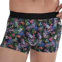 Boxer Havana