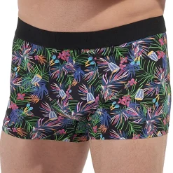 Boxer Havana