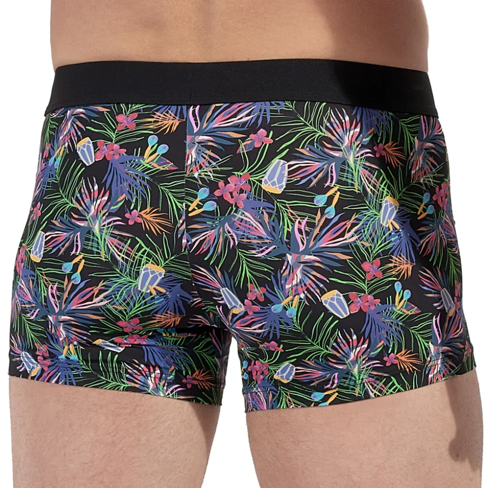 Boxer Havana