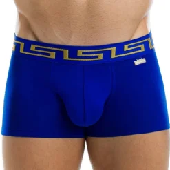 Boxer Meander Royal