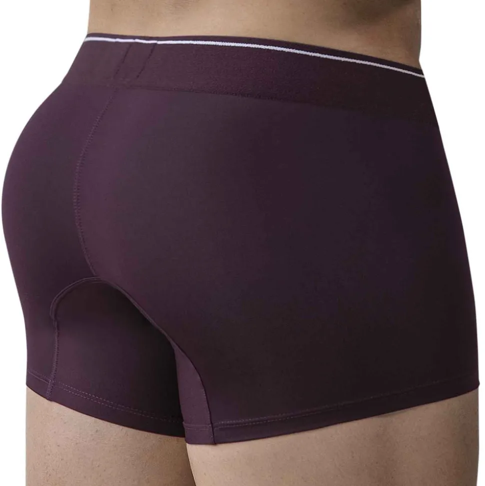 Boxer Valladolid Bordeaux