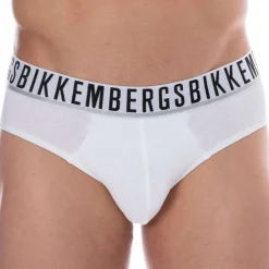 Lot de 2 Slips Essential Coton Blancs