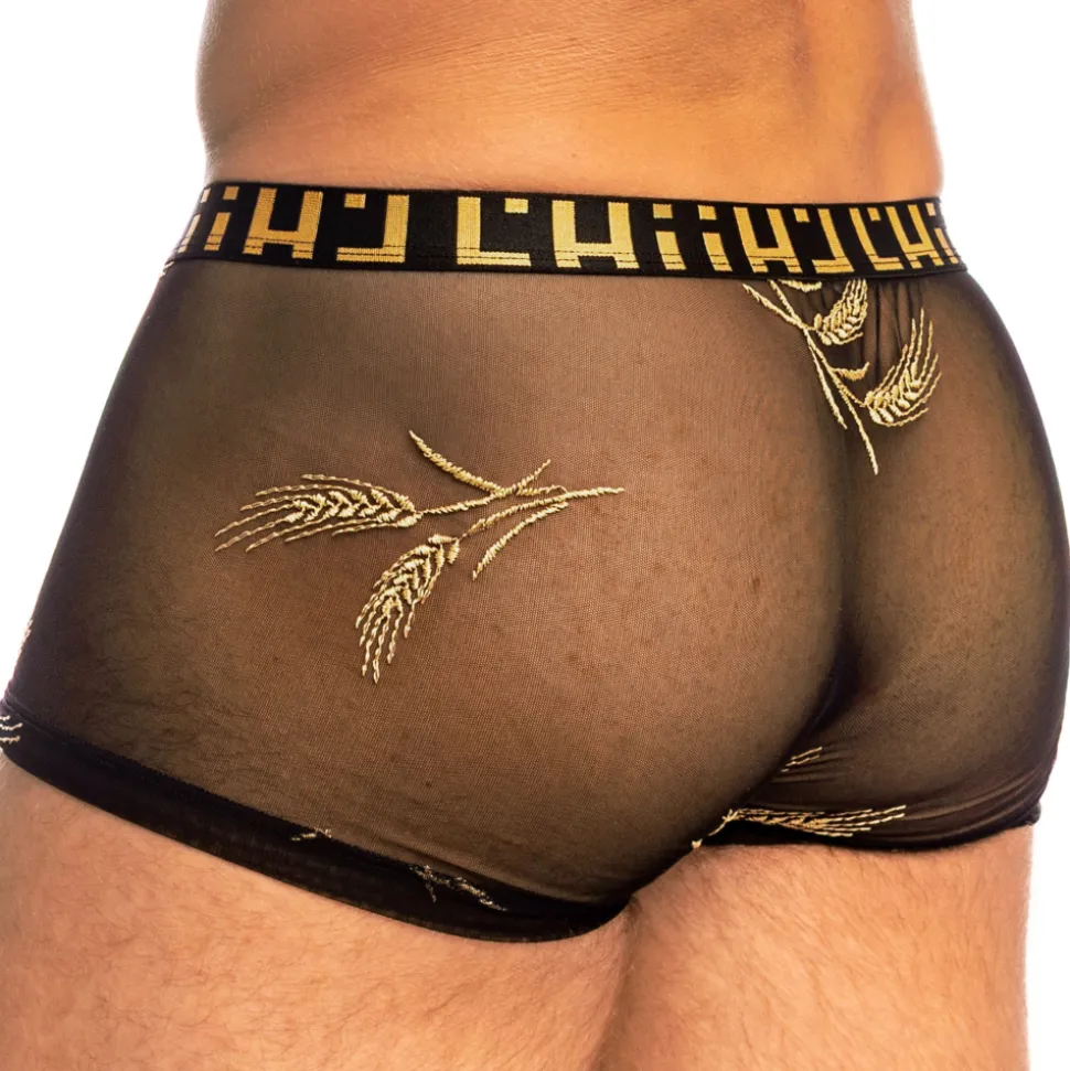Shorty Hipster Push-Up Epi d'Or Noir