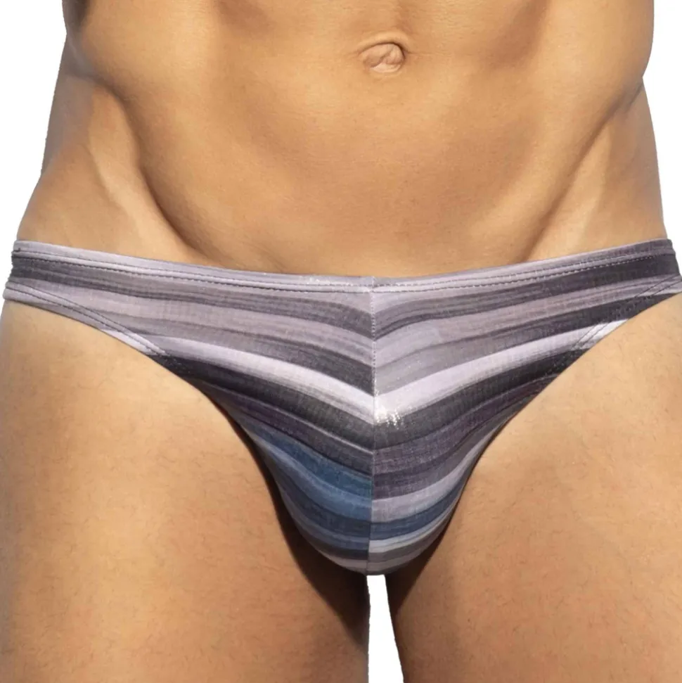 Slip Bikini Wetlands Gris