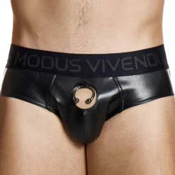 Slip Classique Prince Albert Noir