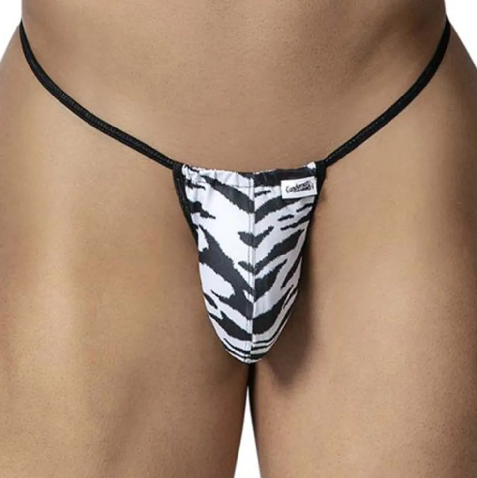 String Micro Zèbre