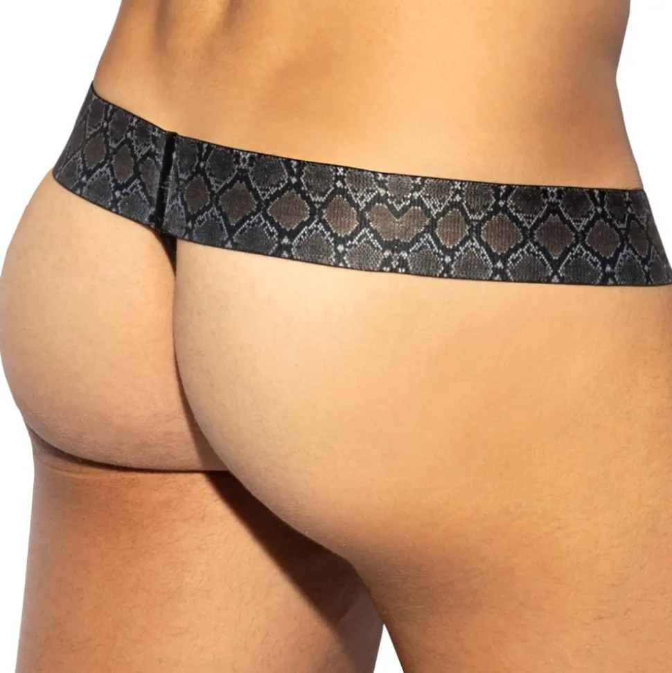String Push Up Golden Age Doré